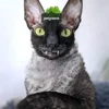 🦇 Эмодзи «Cats Котики» для Telegram
