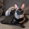 🦇 Эмодзи «Cats Котики» для Telegram