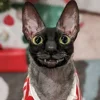 🦇 Эмодзи «Cats Котики» для Telegram
