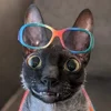🦇 Эмодзи «Cats Котики» для Telegram