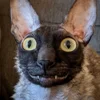 🦇 Эмодзи «Cats Котики» для Telegram