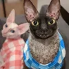 🦇 Эмодзи «Cats Котики» для Telegram