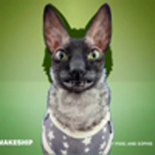 🦇 Эмодзи «Cats Котики» для Telegram