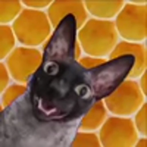 🦇 Эмодзи «Cats Котики» для Telegram