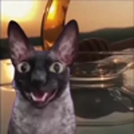 🦇 Эмодзи «Cats Котики» для Telegram