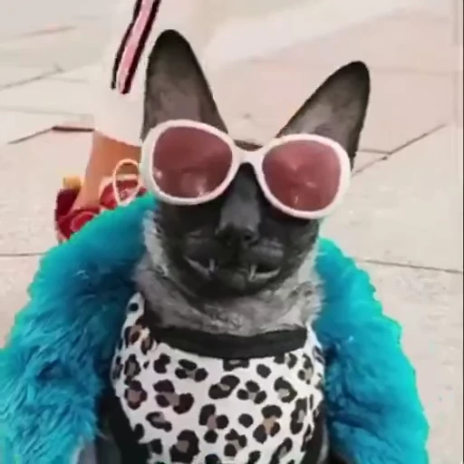 😎 Стикер «ЛЕТУЧИЙ» для Telegram