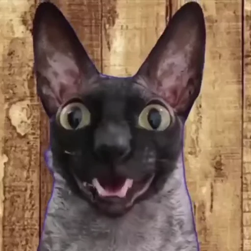🤤 Стикер «ЛЕТУЧИЙ» для Telegram