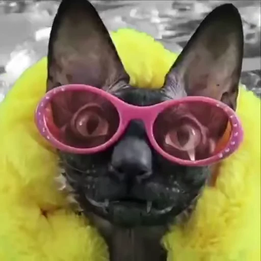 😎 Стикер «ЛЕТУЧИЙ» для Telegram