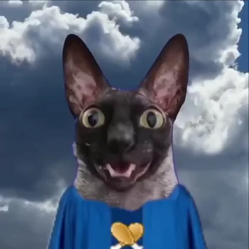 🥺 Стикер «ЛЕТУЧИЙ» для Telegram