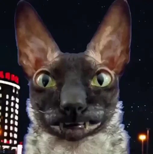 😝 Стикер «ЛЕТУЧИЙ» для Telegram