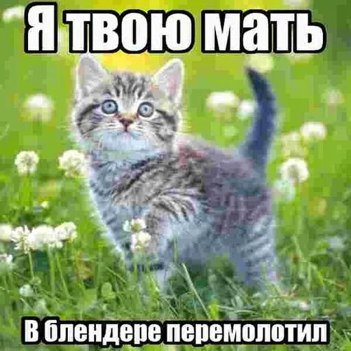 😍 Стикер «бля буду крабсбургером» для Telegram
