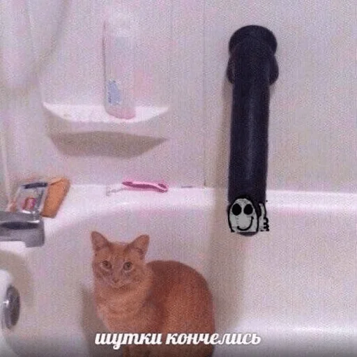 🤤 Стикер «бля буду крабсбургером» для Telegram
