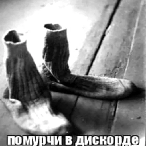 🥵 Стикер «бля буду крабсбургером» для Telegram