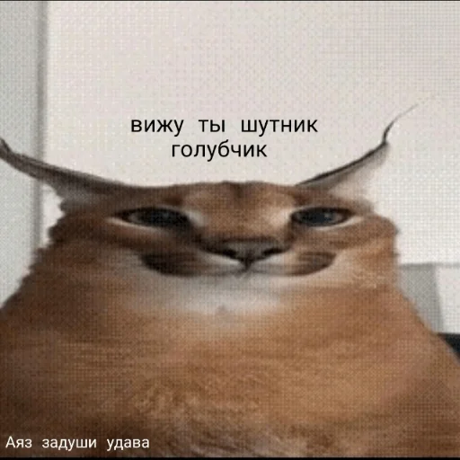 🏳‍🌈 Стикер «? Anime Пикчи» для Telegram