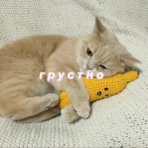 😔 Стикер «~~~» для Telegram