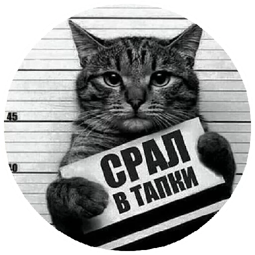 🤬 Стикер «Папины детки» для Telegram