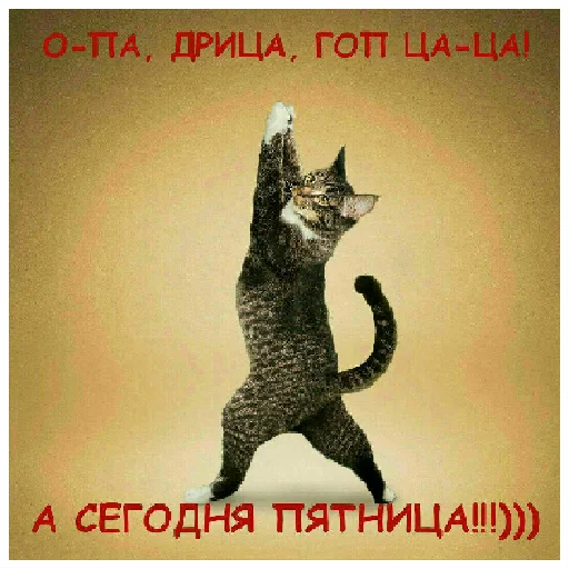 🤚 Стикер «Папины детки» для Telegram