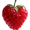🍓 Эмодзи «私の好きなアジア by» для Telegram