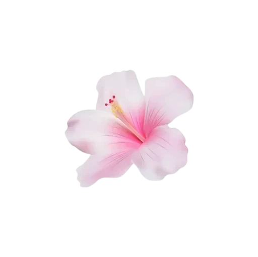 🌟 Стикер «ᴄᴛиᴋᴇᴩы ᴏᴛ ᴩиɯи ! !» для Telegram