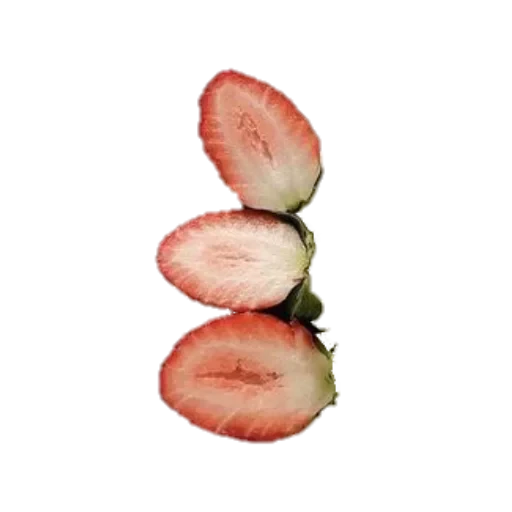 🌱 Стикер «ᴄᴛиᴋᴇᴩы ᴏᴛ ᴩиɯи ! !» для Telegram