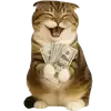 🤑 Эмодзи «Шотландский кот» для Telegram
