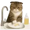 🚰 Эмодзи «Шотландский кот» для Telegram