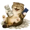 💸 Эмодзи «Шотландский кот» для Telegram