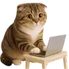 💻 Эмодзи «Шотландский кот» для Telegram