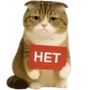 🙅‍♂ Эмодзи «Шотландский кот» для Telegram