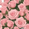 🌹 Эмодзи «маришкин пак part2» для Telegram