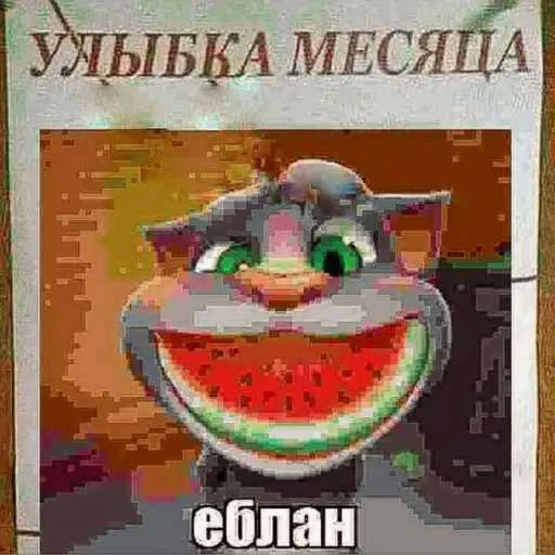 😜 Стикер «Говорящий Том Мемы» для Telegram