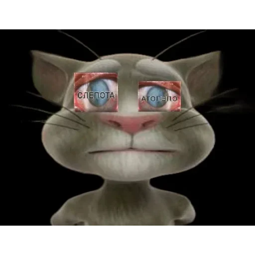 👁️ Стикер «Говорящий Том Мемы» для Telegram