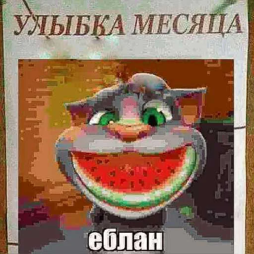 😜 Стикер «Говорящий Том Мемы» для Telegram