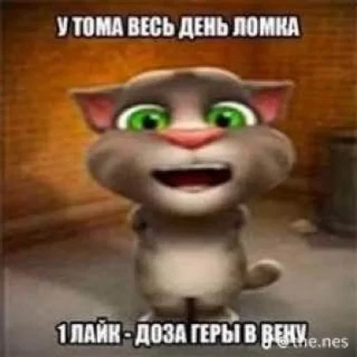 🌟 Стикер «Говорящий Том Мемы» для Telegram