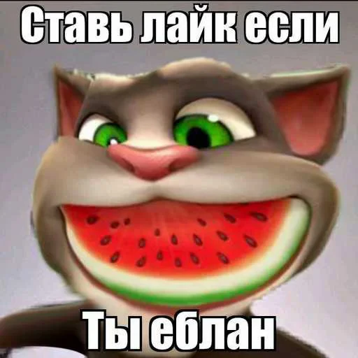 😁 Стикер «Говорящий Том Мемы» для Telegram