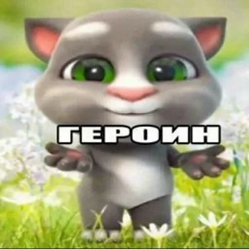 🌟 Стикер «Говорящий Том Мемы» для Telegram