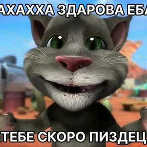 ☺️ Стикер «Говорящий Том Мемы» для Telegram
