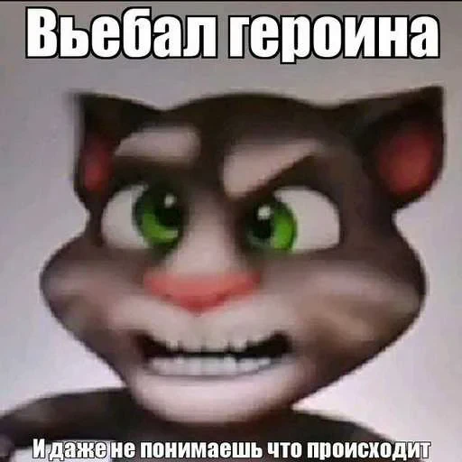 🥹 Стикер «Говорящий Том Мемы» для Telegram