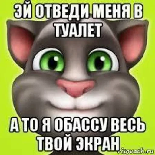 🌟 Стикер «Говорящий Том Мемы» для Telegram