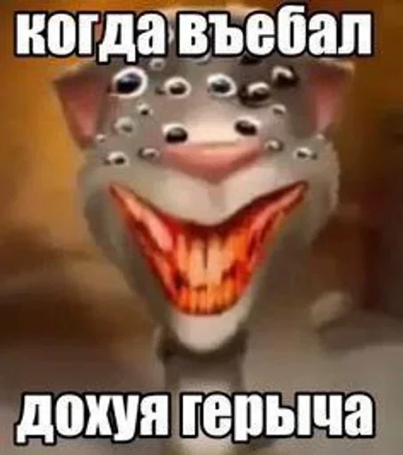 🌟 Стикер «Говорящий Том Мемы» для Telegram