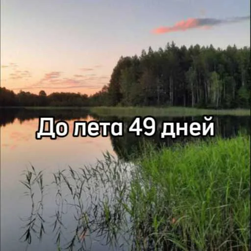 ☀️ Стикер «До лета» для Telegram
