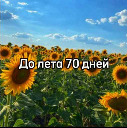 ☀️ Стикер «До лета» для Telegram