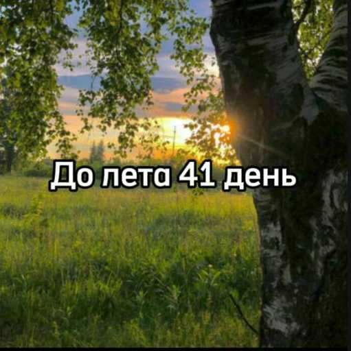 ☀️ Стикер «До лета» для Telegram