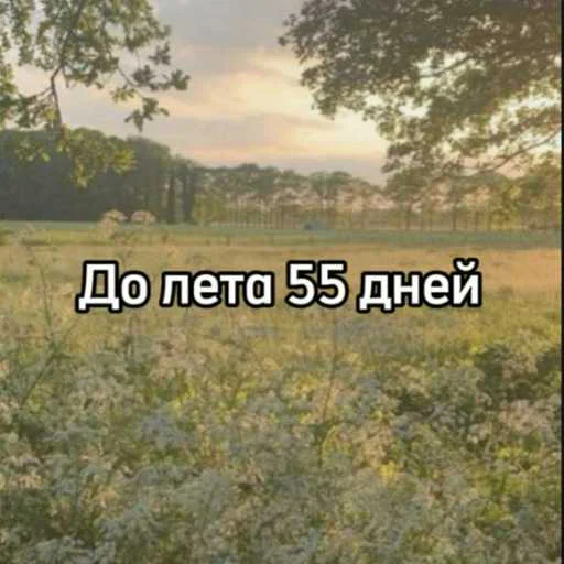 ☀️ Стикер «До лета» для Telegram