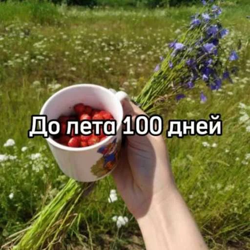 Стикерпак До лета для Telegram