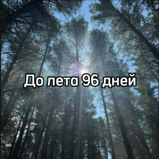 ☀️ Стикер «До лета» для Telegram