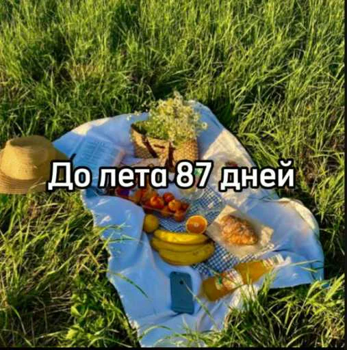 ☀️ Стикер «До лета» для Telegram
