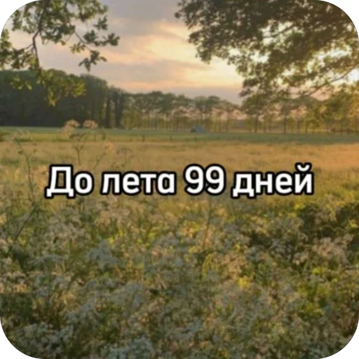 🫥 Стикер «До лета» для Telegram