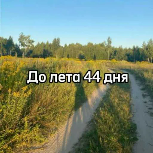 ☀️ Стикер «До лета» для Telegram