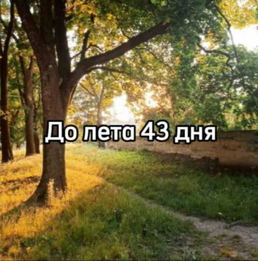 ☀️ Стикер «До лета» для Telegram